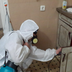 Дезинфекция от муравьев в квартире в Лаишево