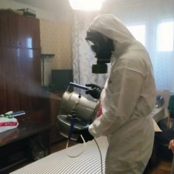 Дезинфекция от клопов в Лаишево