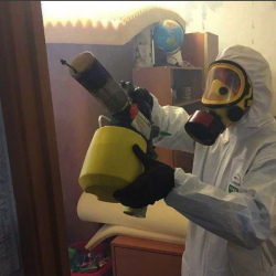 Уничтожение клопов в квартире. Лаишево